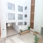 Apartamento Pachimon